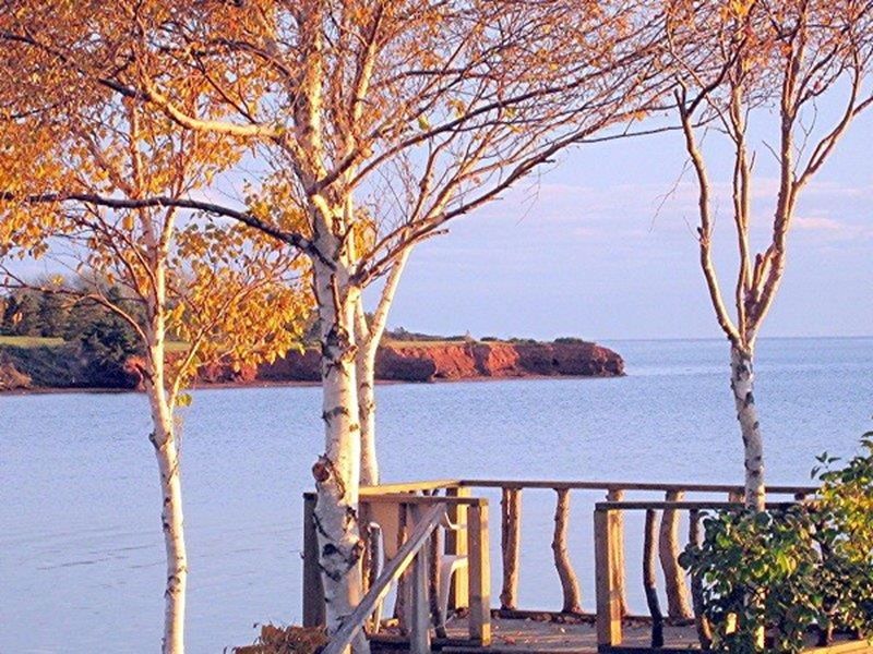 about-photos-22